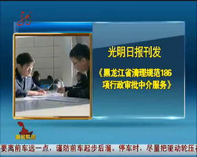 黑龙江省清理规范186项行政审批中介服务，提升政务服务效能