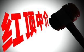 蓝顶中介超市 高效服务助力市场主体少跑腿、多办事、快办事